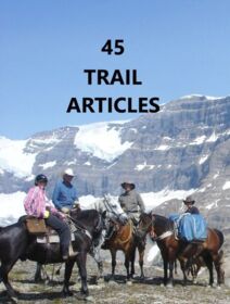 Access to 44 Magazine Articles